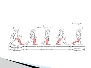 Kinetics and kinematics of gait cycle.pptx