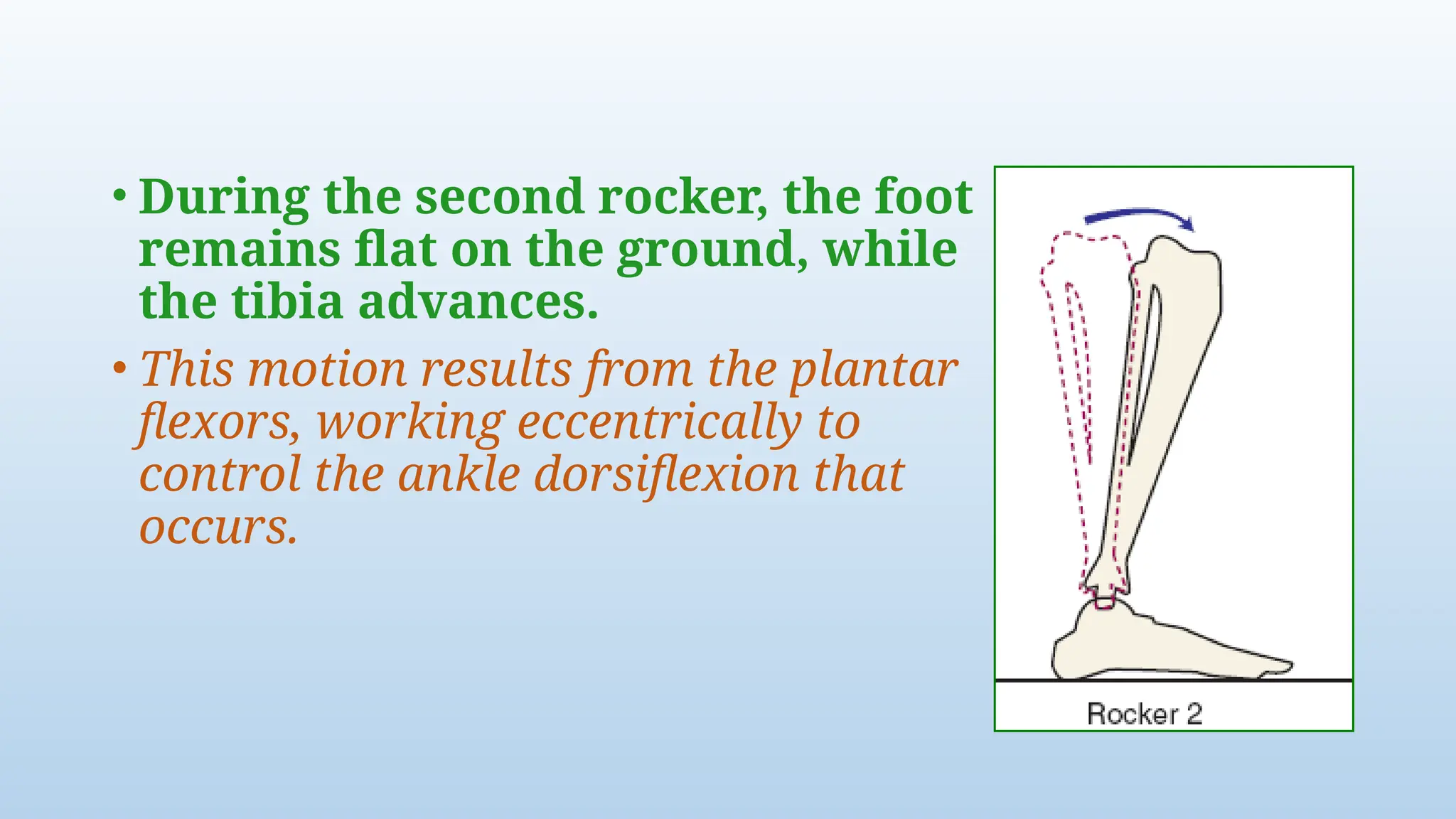 Gait ,gait cycle,phases of gait, different gait patterns. | PPTX