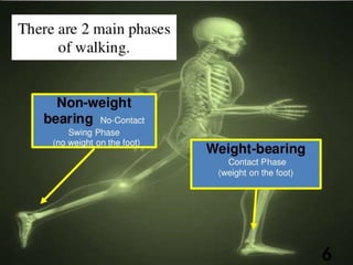 gait.ppt stance phase swing phase gait analysis | PPT