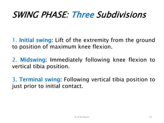 Dr M M Abedin
SWING PHASE: Three Subdivisions
1. Initial swing: Lift of the extremity from the ground
to position of maximum knee flexion.
2. Midswing: Immediately following knee flexion to
vertical tibia position.
3. Terminal swing: Following vertical tibia position to
just prior to initial contact.
12
 