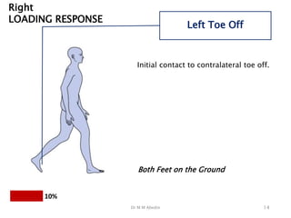 Define Contralateral Loading Gait Analysis - Components and Abnormalities.pptx