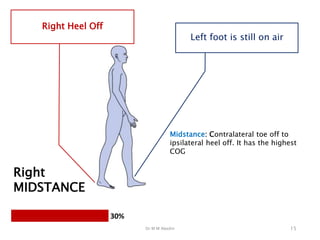 Dr M M Abedin 15
Left foot is still on air
Right
MIDSTANCE
Right Heel Off
30%
Midstance: Contralateral toe off to
ipsilateral heel off. It has the highest
COG
 