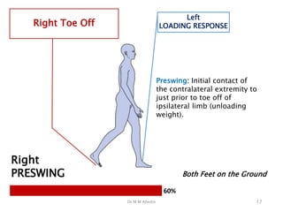 Define Contralateral Loading Gait Analysis - Components and Abnormalities.pptx
