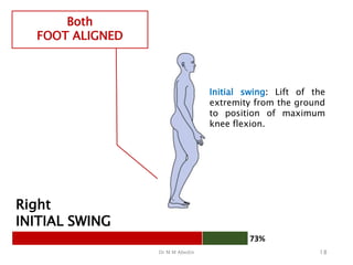 Dr M M Abedin 18
Right
INITIAL SWING
Both
FOOT ALIGNED
73%
Initial swing: Lift of the
extremity from the ground
to position of maximum
knee flexion.
 