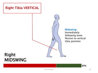 Gait Analysis - Components and Abnormalities.pptx