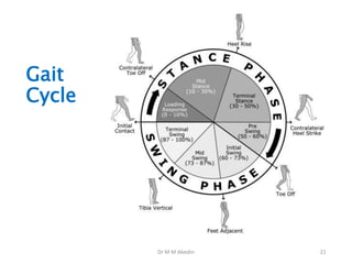 Dr M M Abedin
Gait
Cycle
21
 