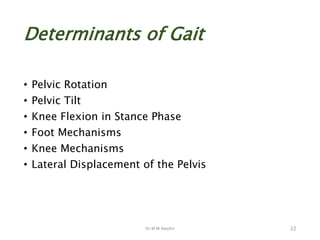 Dr M M Abedin
Determinants of Gait
• Pelvic Rotation
• Pelvic Tilt
• Knee Flexion in Stance Phase
• Foot Mechanisms
• Knee Mechanisms
• Lateral Displacement of the Pelvis
22
 