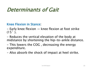 Dr M M Abedin
Determinants of Gait
Knee Flexion in Stance:
- Early knee flexion → knee flexion at foot strike
(15˚ ).
- Reduces the vertical elevation of the body at
midstance by shortening the hip-to-ankle distance.
- This lowers the COG , decreasing the energy
expenditure.
- Also absorb the shock of impact at heel strike.
25
 