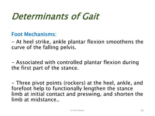 Dr M M Abedin
Determinants of Gait
Foot Mechanisms:
- At heel strike, ankle plantar flexion smoothens the
curve of the falling pelvis.
- Associated with controlled plantar flexion during
the first part of the stance.
- Three pivot points (rockers) at the heel, ankle, and
forefoot help to functionally lengthen the stance
limb at initial contact and preswing, and shorten the
limb at midstance..
26
 