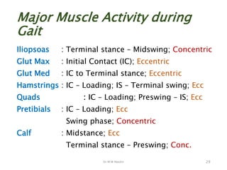 Dr M M Abedin
Major Muscle Activity during
Gait
Iliopsoas : Terminal stance – Midswing; Concentric
Glut Max : Initial Contact (IC); Eccentric
Glut Med : IC to Terminal stance; Eccentric
Hamstrings : IC – Loading; IS – Terminal swing; Ecc
Quads : IC – Loading; Preswing – IS; Ecc
Pretibials : IC – Loading; Ecc
Swing phase; Concentric
Calf : Midstance; Ecc
Terminal stance – Preswing; Conc.
29
 