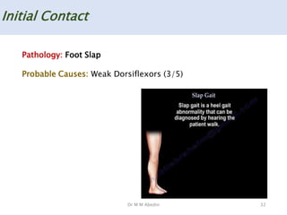 Dr M M Abedin
Initial Contact
32
Pathology: Foot Slap
Probable Causes: Weak Dorsiflexors (3/5)
 