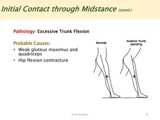 Dr M M Abedin 37
Initial Contact through Midstance (contd.)
Pathology: Excessive Trunk Flexion
Probable Causes:
• Weak gluteus maximus and
quadriceps
• Hip flexion contracture
 