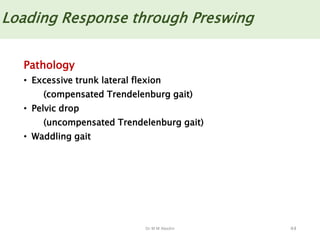 Dr M M Abedin
Pathology
• Excessive trunk lateral flexion
(compensated Trendelenburg gait)
• Pelvic drop
(uncompensated Trendelenburg gait)
• Waddling gait
44
Loading Response through Preswing
 