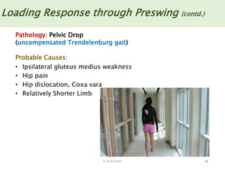 Dr M M Abedin 46
Loading Response through Preswing (contd.)
Pathology: Pelvic Drop
(uncompensated Trendelenburg gait)
Probable Causes:
• Ipsilateral gluteus medius weakness
• Hip pain
• Hip dislocation, Coxa vara
• Relatively Shorter Limb
 