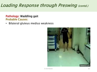 Dr M M Abedin 47
Loading Response through Preswing (contd.)
Pathology: Waddling gait
Probable Causes:
• Bilateral gluteus medius weakness
 