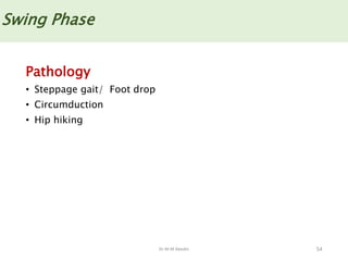 Dr M M Abedin
Pathology
• Steppage gait/ Foot drop
• Circumduction
• Hip hiking
54
Swing Phase
 