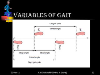 Variables of gait




22-Jun-12   P.R.Khuman(MPT,Ortho & Sports)   50
 