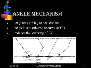 Ankle mechanism
    It lengthens the leg at heel contact
    It helps in smoothens the curve of CG
    It reduces the lowering of CG




    22-Jun-12        P.R.Khuman(MPT,Ortho & Sports)   61
 
