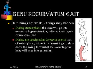 genu recurvatum gait
    Hamstrings are weak, 2 things may happen
         During stance phase, the knee will go into
          excessive hyperextension, referred to as “genu
          recurvatum” gait.
         During the deceleration (terminal swing) part
          of swing phase, without the hamstrings to slow
          down the swing forward of the lower leg, the
          knee will snap into extension.




    22-Jun-12            P.R.Khuman(MPT,Ortho & Sports)    79
 