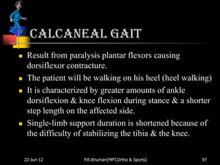 Calcaneal gait
    Result from paralysis plantar flexors causing
     dorsiflexor contracture.
    The patient will be walking on his heel (heel walking)
    It is characterized by greater amounts of ankle
     dorsiflexion & knee flexion during stance & a shorter
     step length on the affected side.
    Single-limb support duration is shortened because of
     the difficulty of stabilizing the tibia & the knee.

    22-Jun-12        P.R.Khuman(MPT,Ortho & Sports)     97
 