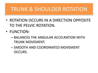 Trunk Rotation Normal Values Gait parameters , determinants and assessment (2) | PPTX