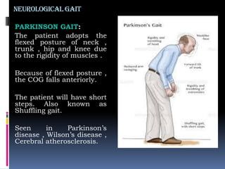 Neurological gait
PARKINSON GAIT:
The patient adopts the
flexed posture of neck ,
trunk , hip and knee due
to the rigidity of muscles .
Because of flexed posture ,
the COG falls anteriorly.
The patient will have short
steps. Also known as
Shuffling gait.
Seen in Parkinson‟s
disease , Wilson‟s disease ,
Cerebral atherosclerosis.
 