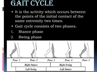 Gait cycle
 It is the activity which occurs between
the points of the initial contact of the
same extremity two times.
 Gait cycle consists of two phases.
1. Stance phase
2. Swing phase
 