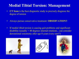 Medial Tibial Torsion: Management
• CT Scan is the best diagnostic study to precisely diagnose the
degree of torsion
• Always pursue conservative treatment: OBSERVATION!!
• If medial tibial torsion is causing gait problems and significant
disability (usually > 40 degrees internal rotation)... can consider
derotational osteotomy after age 8 years (very rare!!)
 