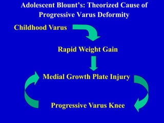 Adolescent Blount’s: Theorized Cause of
Progressive Varus Deformity
Childhood Varus
Rapid Weight Gain
Medial Growth Plate Injury
Progressive Varus Knee
 