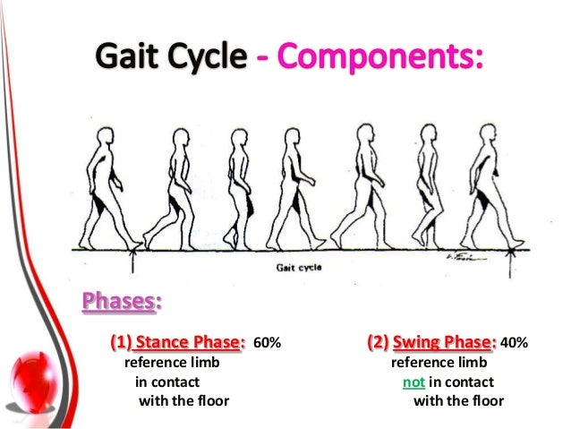 Gait Analysis