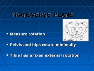 Transversal Rotation Gait analysis | PPT