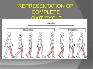 REPRESENTATION OF
COMPLETE
GAIT CYCLE
 