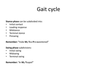 Gait cycle
Stance phase can be subdivided into:
• Initial contact
• Loading response
• Midstance
• Terminal stance
• Preswing
Remember: "I Like My Tea Pre-sweetened"
Swing phase subdivisions:
• Initial swing
• Midswing
• Terminal swing
Remember: "In My Teapot”
 