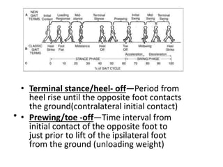 • Terminal stance/heel- off—Period from
heel rise until the opposite foot contacts
the ground(contralateral initial contact)
• Prewing/toe -off—Time interval from
initial contact of the opposite foot to
just prior to lift of the ipsilateral foot
from the ground (unloading weight)
•
 