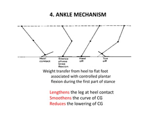 4. ANKLE MECHANISM
Weight transfer from heel to flat foot
associated with controlled plantar
flexion during the first part of stance
Lengthens the leg at heel contact
Smoothens the curve of CG
Reduces the lowering of CG
 