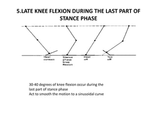 5.LATE KNEE FLEXION DURING THE LAST PART OF
STANCE PHASE
30-40 degrees of knee flexion occur during the
last part of stance phase
Act to smooth the motion to a sinusoidal curve
 