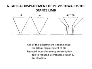 6. LATERAL DISPLACEMENT OF PELVIS TOWARDS THE
STANCE LIMB
Aim of this determinant is to minimize
the lateral displacement of CG
Reduced muscular energy consumption
due to reduced lateral acceleration &
deceleration
 