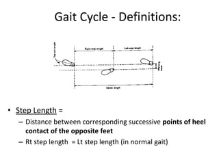 Gait Cycle - Definitions:
• Step Length =
– Distance between corresponding successive points of heel
contact of the opposite feet
– Rt step length = Lt step length (in normal gait)
 