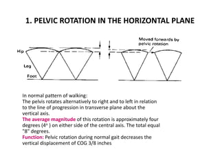 Gait analysis | PPTX