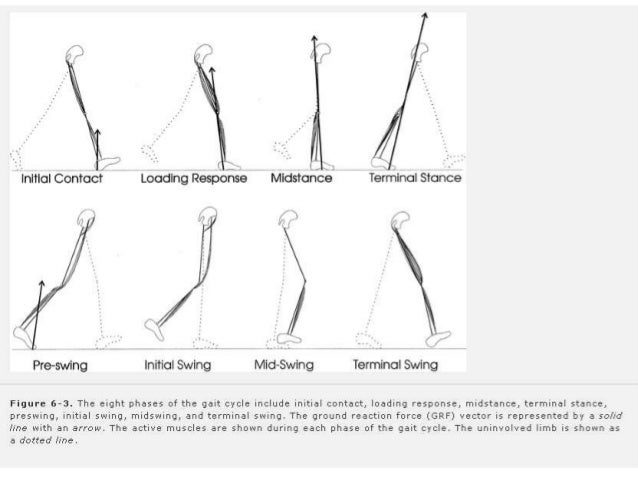 Gait Analysis