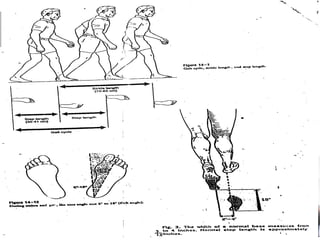 Running Assessment.pdf gait analysis.pdf