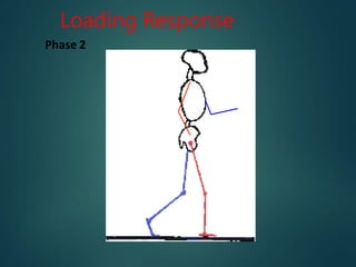 Loading Response
Phase 2
 