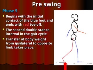 Pre swing
Pre swing
Phase 5
Phase 5
 Begins with the initial
Begins with the initial
contact of the blue foot and
contact of the blue foot and
ends with
ends with red
red toe-off.
toe-off.
 The second double stance
The second double stance
interval in the gait cycle
interval in the gait cycle
 Transfer of body weight
Transfer of body weight
from ipsilateral to opposite
from ipsilateral to opposite
limb takes place.
limb takes place.
 