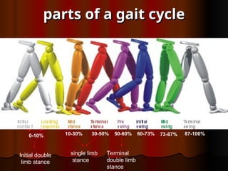 parts of a gait cycle
parts of a gait cycle
0-10% 10-30% 30-50% 50-60% 60-73% 73-87% 87-100%
Initial double
limb stance
single limb
stance
Terminal
double limb
stance
 