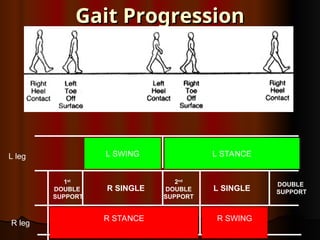 Gait Progression
Gait Progression
R leg
L leg
R STANCE
L SINGLE
1st
DOUBLE
SUPPORT
2nd
DOUBLE
SUPPORT
DOUBLE
SUPPORT
R SINGLE
L SWING L STANCE
R SWING
R STANCE
 
