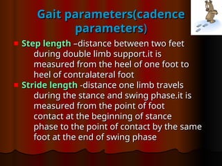 Gait parameters(cadence
Gait parameters(cadence
parameters
parameters)
)
Step length
Step length –distance between two feet
–distance between two feet
during double limb support.it is
during double limb support.it is
measured from the heel of one foot to
measured from the heel of one foot to
heel of contralateral foot
heel of contralateral foot
Stride length
Stride length -distance one limb travels
-distance one limb travels
during the stance and swing phase.it is
during the stance and swing phase.it is
measured from the point of foot
measured from the point of foot
contact at the beginning of stance
contact at the beginning of stance
phase to the point of contact by the same
phase to the point of contact by the same
foot at the end of swing phase
foot at the end of swing phase
 