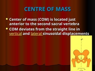 CENTRE OF MASS
CENTRE OF MASS
 Center of mass (COM) is located just
Center of mass (COM) is located just
anterior to the second sacral vertebra
anterior to the second sacral vertebra
 COM deviates from the straight line in
COM deviates from the straight line in
vertical and
and lateral sinusoidal displacements
sinusoidal displacements
 