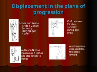 Displacement in the plane of
Displacement in the plane of
progression
progression
Pelvis and trunk
Pelvis and trunk
shift 1-2 inch
shift 1-2 inch
laterally
laterally
during gait
during gait
cycle
cycle
width of a N base
measures2-4 inches
and step length 15
inches
CoG deviates
2 inches
vertically
during gait
cycle
in swing phase
CoG oscillates
40 degree
forward
 