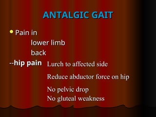 ANTALGIC GAIT
ANTALGIC GAIT
Pain in
Pain in
lower limb
lower limb
back
back
--
--hip pain
hip pain Lurch to affected side
Lurch to affected side
Reduce abductor force on hip
Reduce abductor force on hip
No pelvic drop
No pelvic drop
No gluteal weakness
No gluteal weakness
 