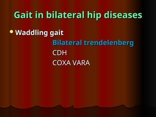 Gait in bilateral hip diseases
Gait in bilateral hip diseases
Waddling gait
Waddling gait
Bilateral trendelenberg
Bilateral trendelenberg
CDH
CDH
COXA VARA
COXA VARA
 
